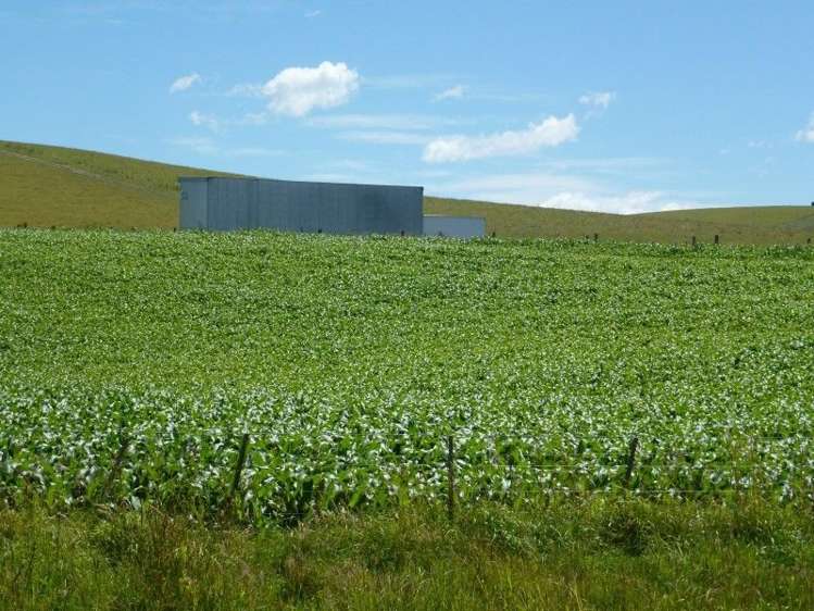 614 Levels Valley Road Levels Valley_0