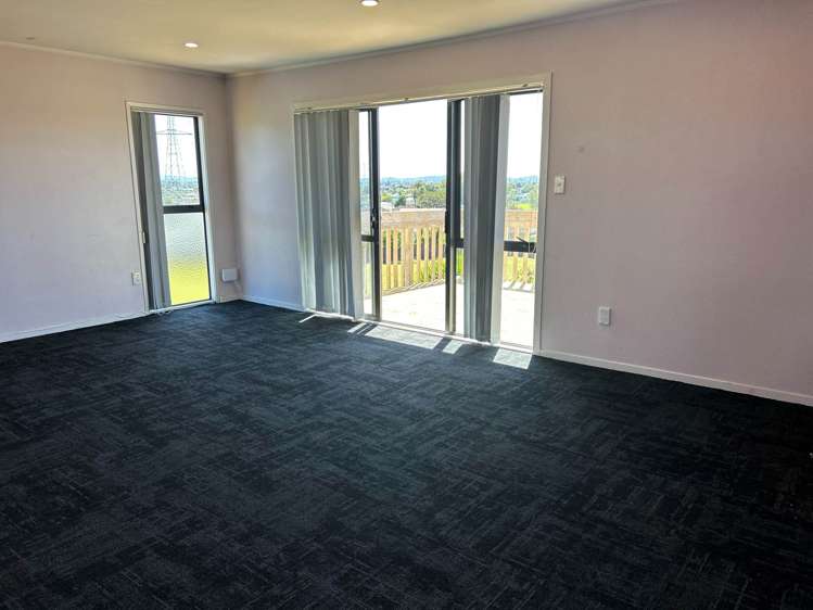 Matthews Road Flat Bush_10