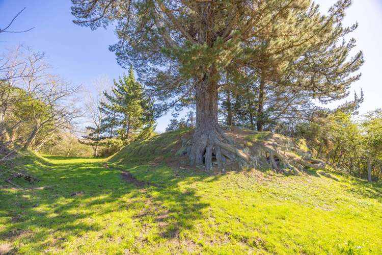 7 Ngahuia Place Te Awamutu_39