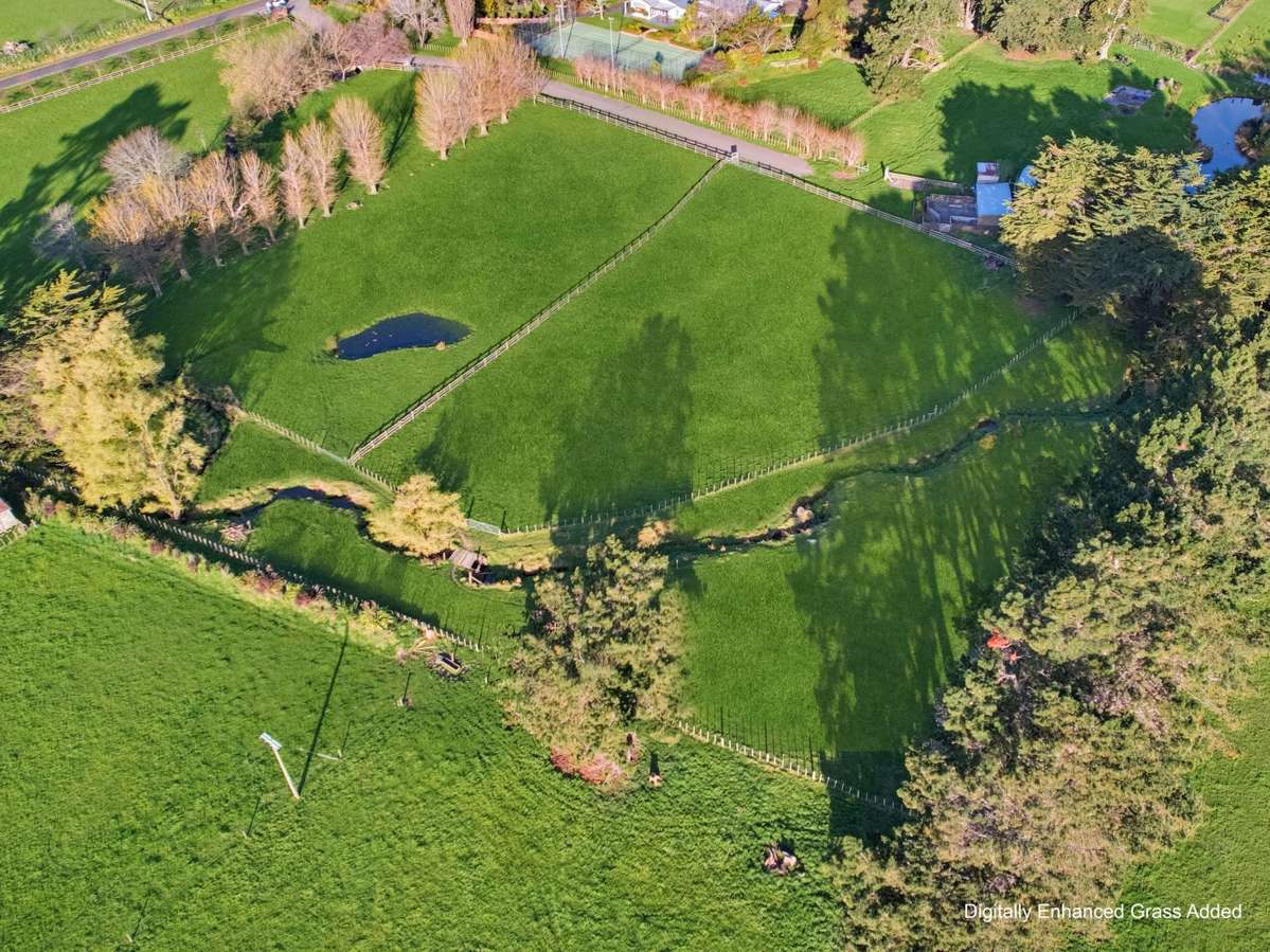 32 Forest Hill Road_4
