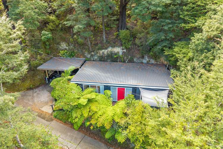 90 Blue Mountains Road Pinehaven_18
