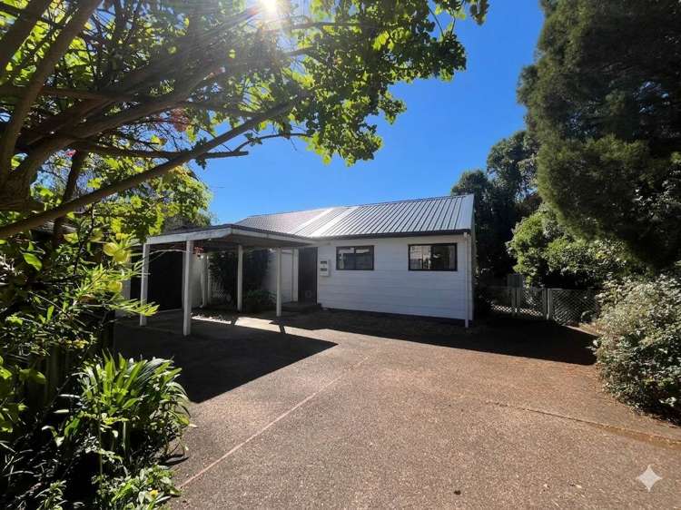 Nikau Street New Lynn_7