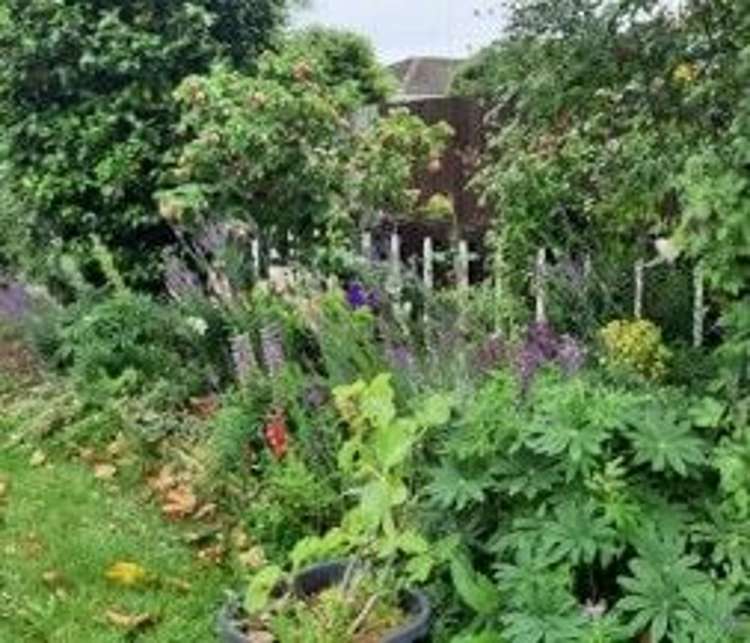 1/7 Wanstead Place Woolston_5