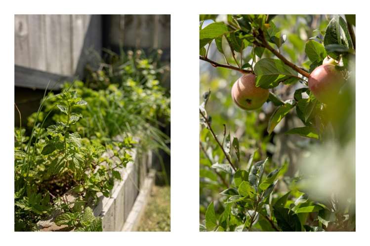 111 Oteki Park Drive Welcome Bay_28