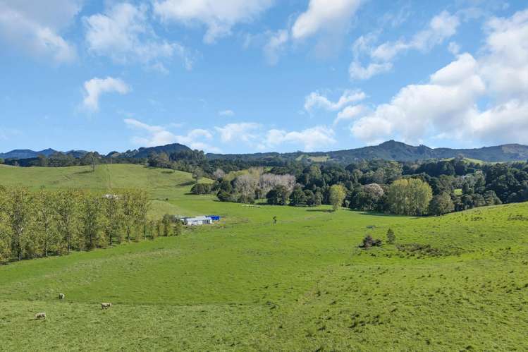 Lot 2 Adams Road Glenbervie_21