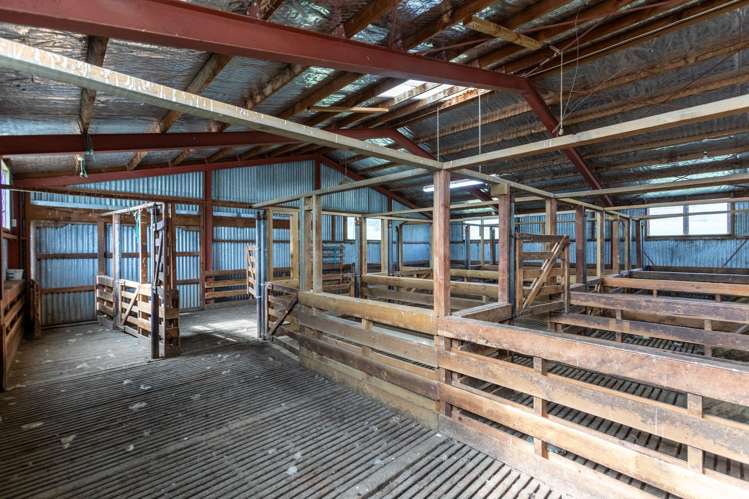 558 Pukeatua Road and 235 Otope Road Dannevirke_26