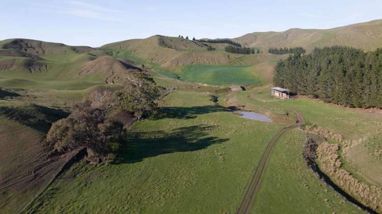 285 Grassmere Road Lake Grassmere_34