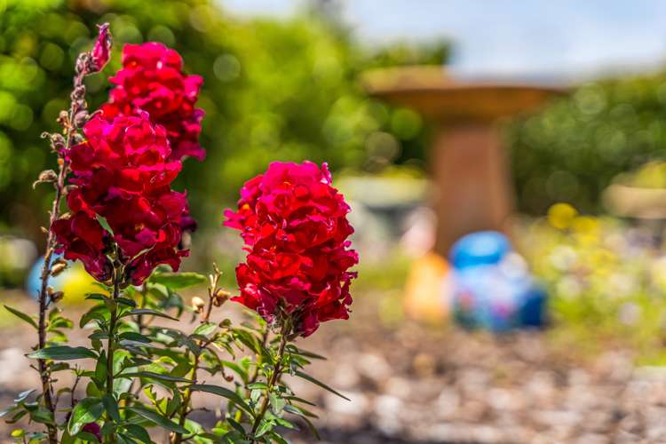 88 Second View Avenue Beachlands_30