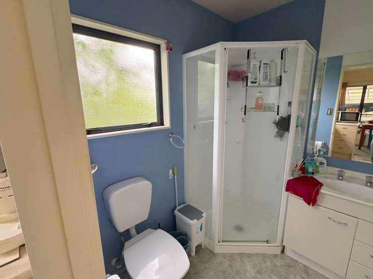 56 Manurere Street Hei Hei_6