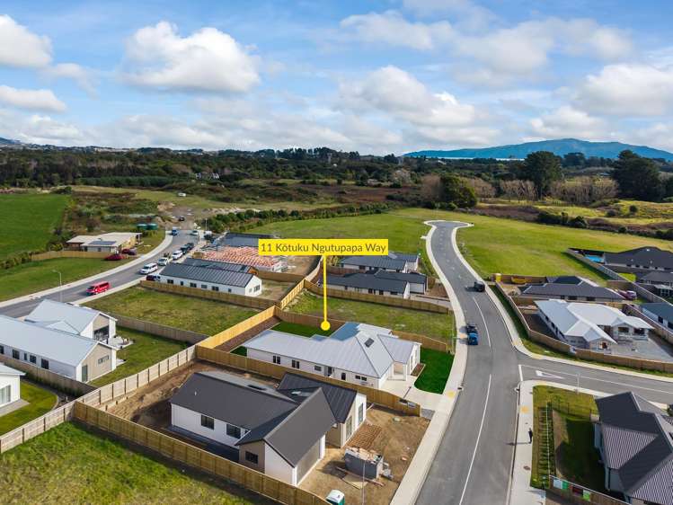 11 Kotuku Ngutupapa Way Waikanae_25