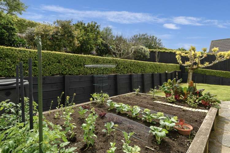 16 Raukawa Drive Bethlehem_23