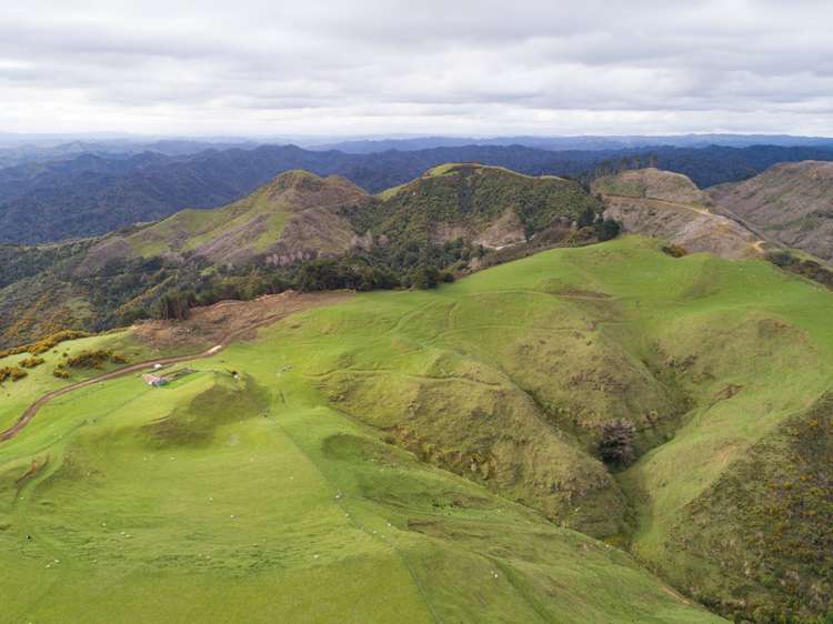 820 Rangitatau West Road Waitotara_15