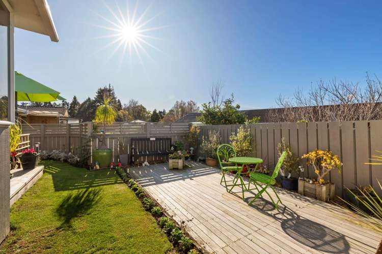 22b Tui Place Katikati_13