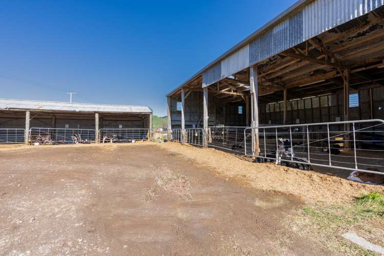 1038 Te Kopia Road Waikite Valley_22