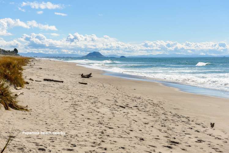 6 Palomino Place Papamoa_7