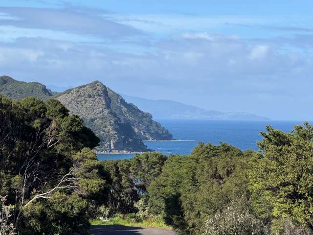 Your Perfect Great Barrier Section - Sea Views...