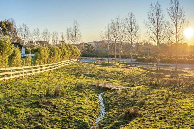 6 Hadfield Road Peka Peka_29