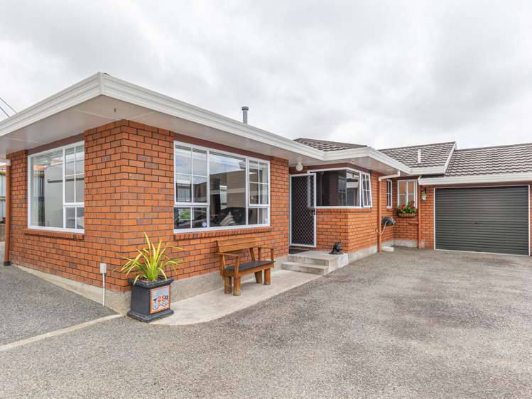 25b Trafalgar Street Levin_1