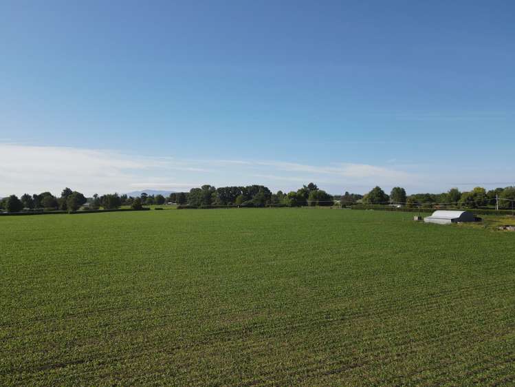 390 Marychurch Road Matangi_16