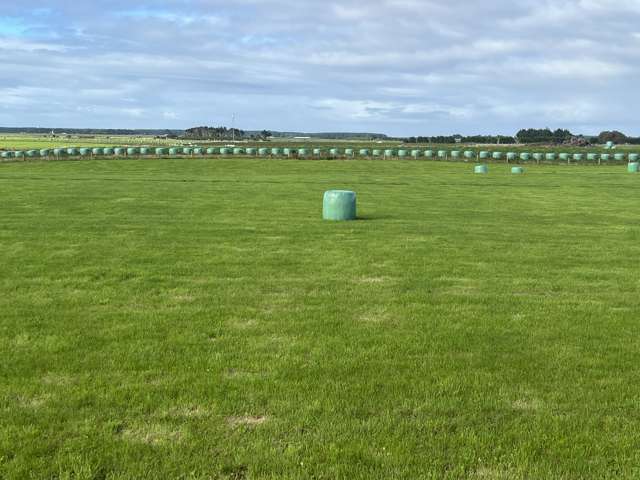 Lot 16/110 Orr Road Waimatua_3