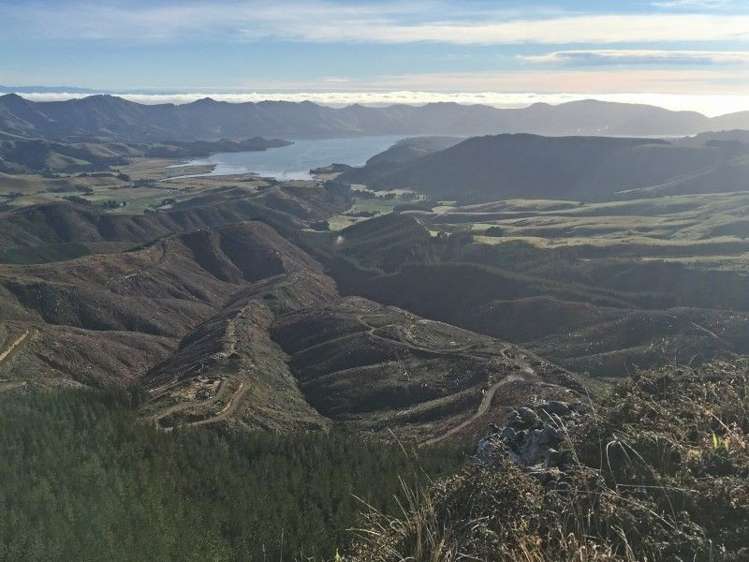 581a Mcqueens Valley Road Gebbies Valley_17