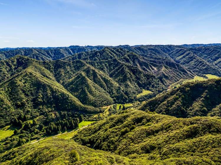 1870 Okau Road Urenui_23