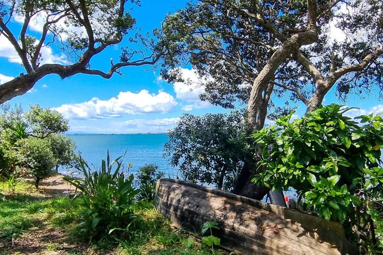 9 Kitchener Road Takapuna_5
