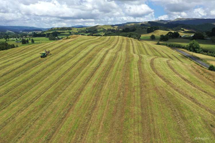 211 Waitetuna Valley Road Raglan_6