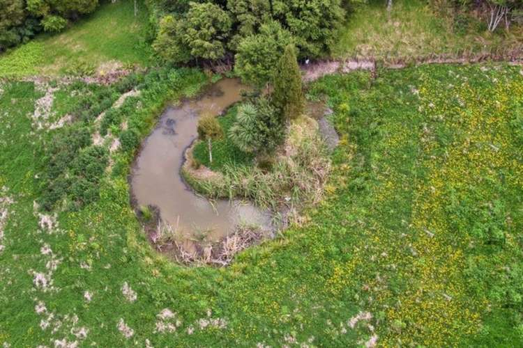 10 Pa Hill Lane Mangawhai_9