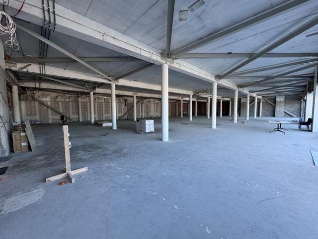 Ground/81 The Esplanade Petone_1