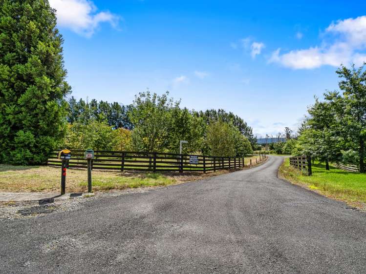 30B Thompsons Track Aongatete_8