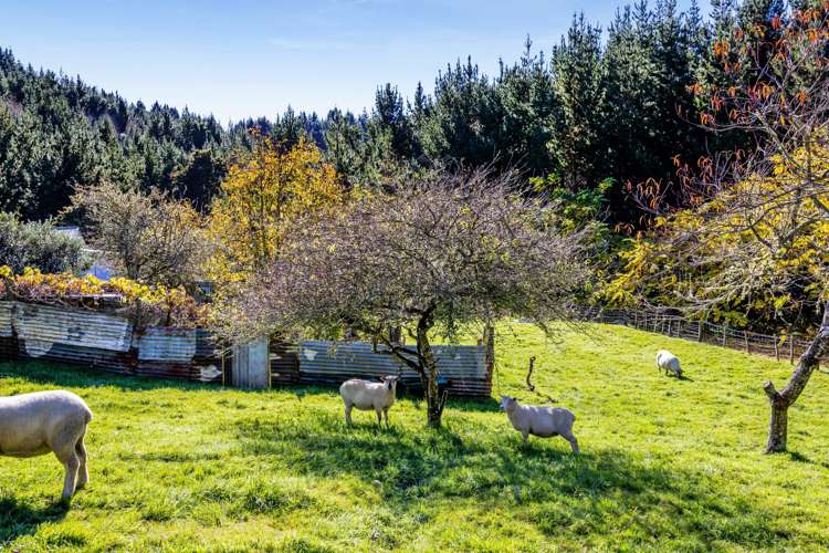 749 Motukawa Road Tarata_4