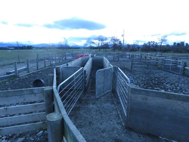 100 Oakleys Road Mayfield_13