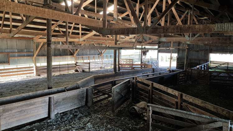 161 Roulston Road Balclutha_5