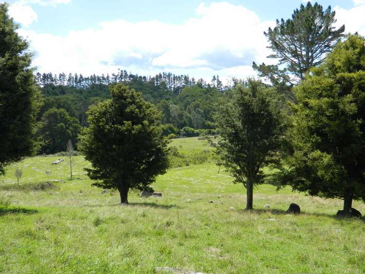 205a Onekura Road Kerikeri Surrounds_19