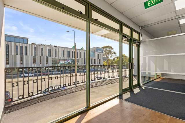6 Washington Way Sydenham_1