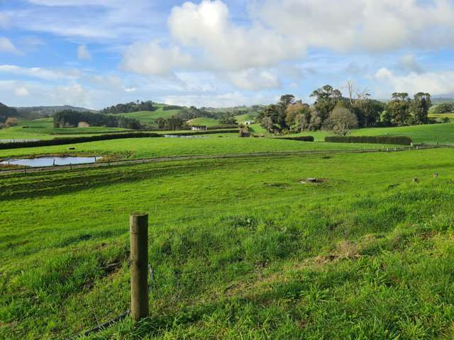 801 Mangorei Road Mangorei_2