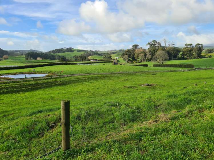 801 Mangorei Road Mangorei_2