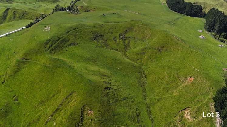 Lot 3 and 7/1005 Rangitatau East Road Kai Iwi_5