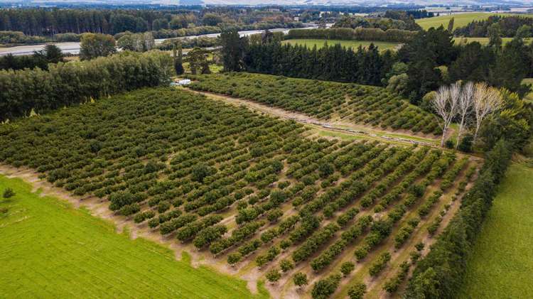 6 Magee Road Dipton_17