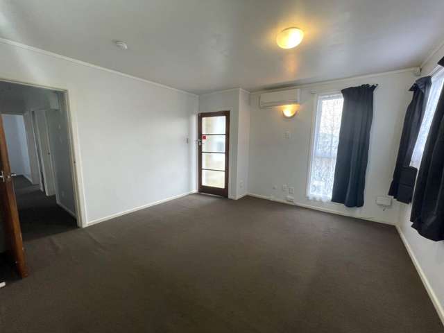 177 Richardson Road Mount Albert_2