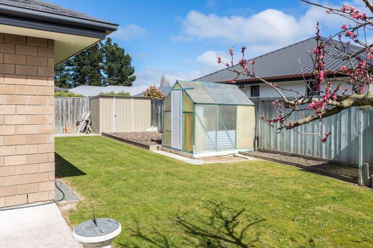 9 Forbes Street Pegasus_6