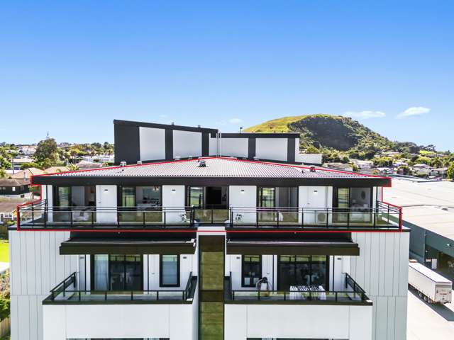 Receivership sale - Parkside penthouse