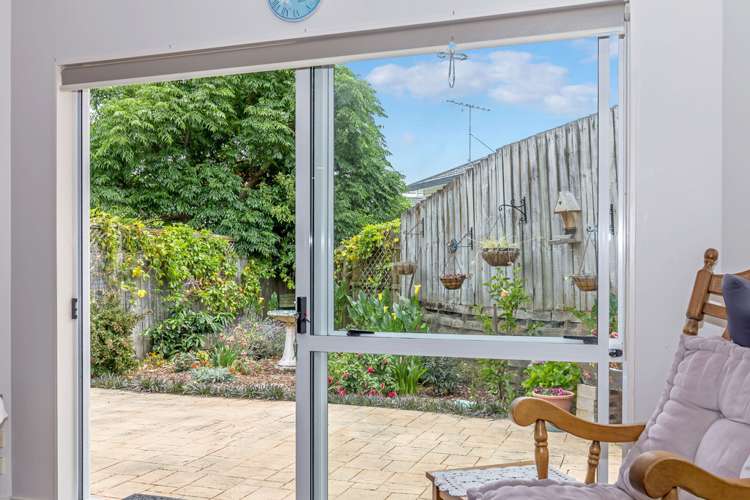 29 Palmgreen Court Stanmore Bay_7