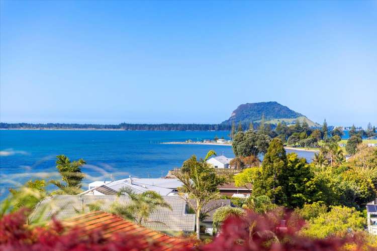 117 Matua Road Matua_36