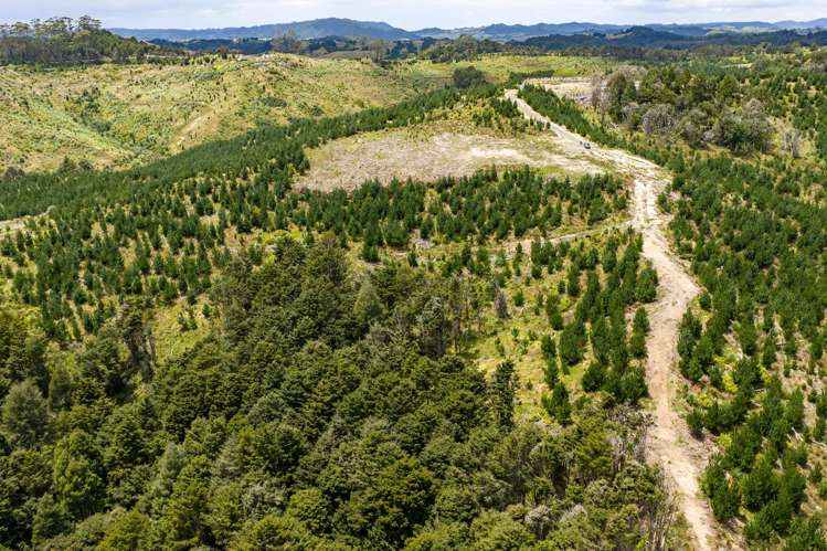 Lot/12 Arcadia Road Paparoa_10