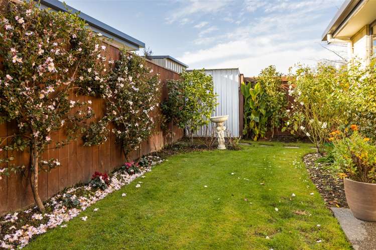 2 Korari Grove Redwoodtown_21