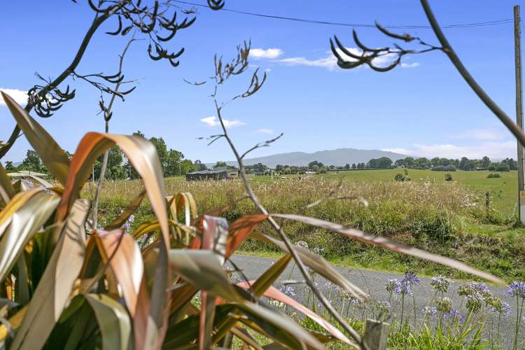 255 Long Road Te Awamutu_18