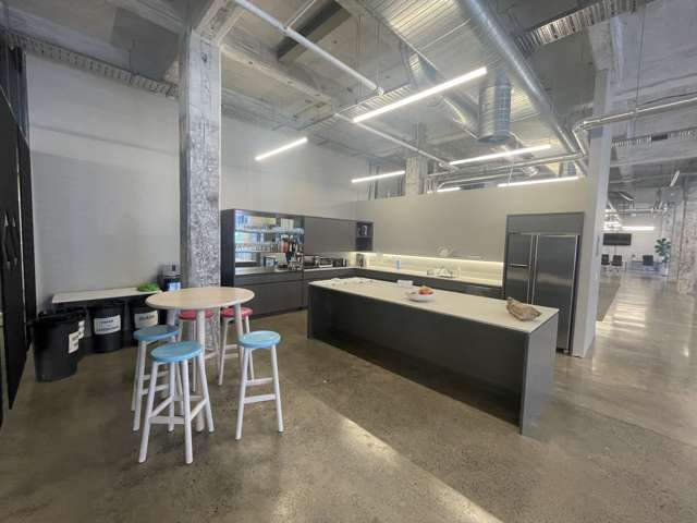 24 Balfour Road Parnell_4