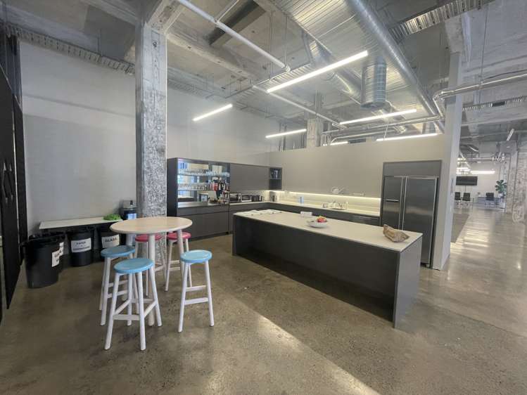 24 Balfour Road Parnell_4